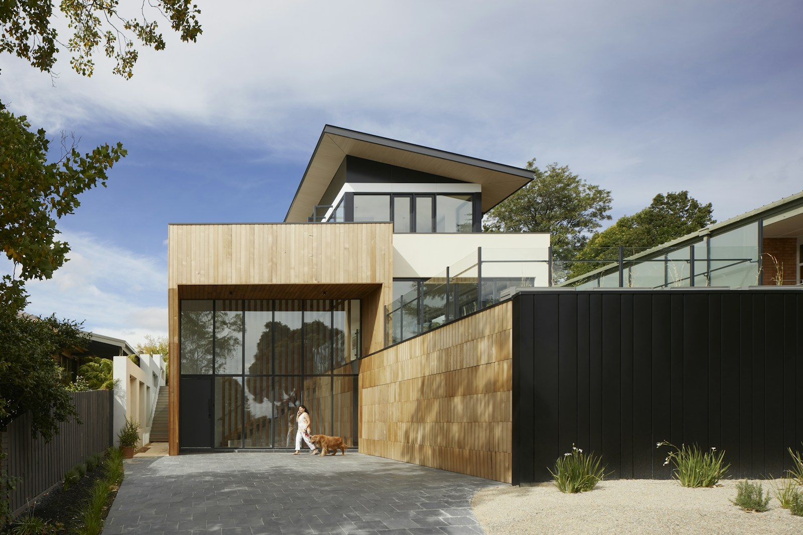 Modern home architecture with warm timber cladding and large windows